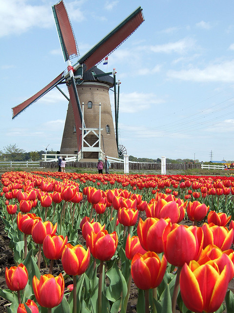 Dutch Windmill in Japan