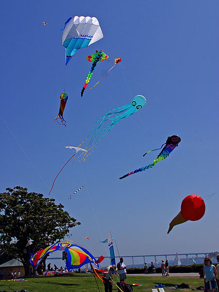 Kites in Flight