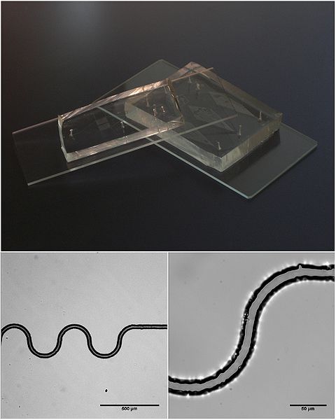 Microfluidic Devices