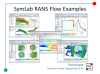 Caedium RANS Flow Examples Preview