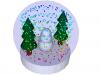 Snow Globe