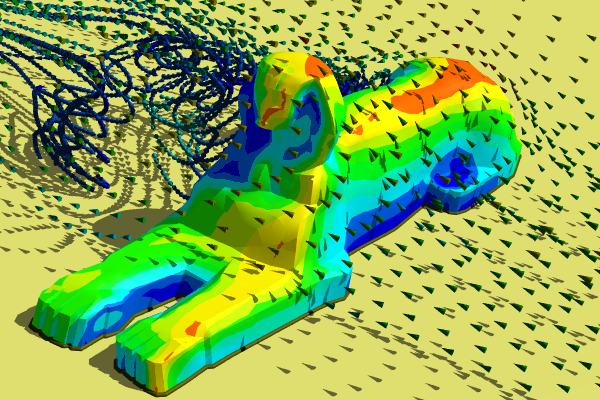 Caedium CFD Simulation Around The Great Sphinx