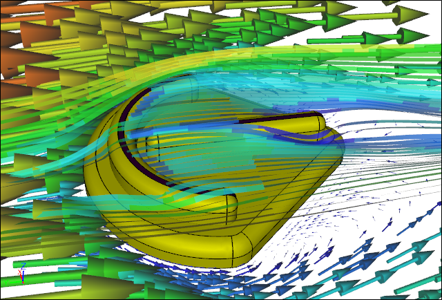 CFD Water Flow Simulation over a Parvancorina